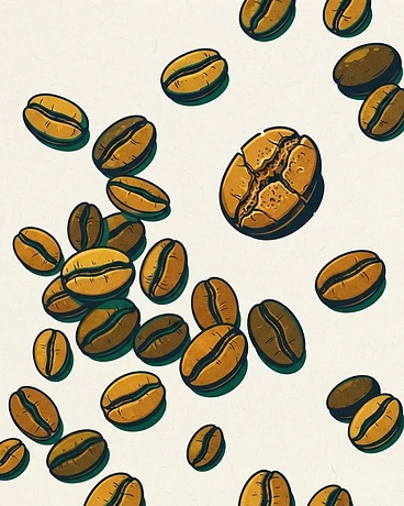 Colombia El Vergel Yirgacheffe Natural