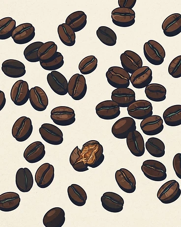 Panama Finca Deborah Gesha Washed