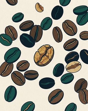 Archive: Colombia Mujeres De Cafe