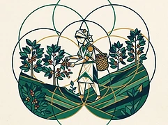Carmen Lucia — coffee farmer illustration 3