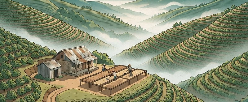 Ngarutua Factory