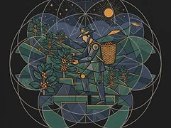 Felix — coffee farmer illustration 2