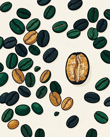 2025 Wilson Alba; Sierra Morena, 3rd Harvest - Colombia