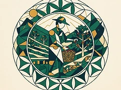 Yolanda María Gómez — coffee farmer illustration 1
