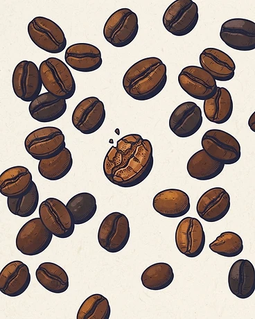 Archive: Costa Rica Montes de Oro