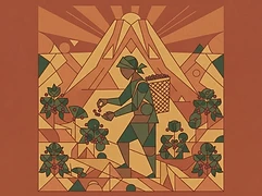 Getachew Zeleke — coffee farmer illustration 1
