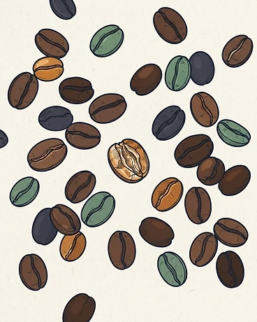 Panama Savage Coffees Gesha
