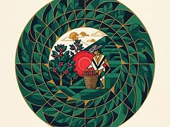 Ernedis Rodriguez — coffee farmer illustration 2
