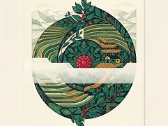 El Diviso; Mustefa Abakeno’s farm and neighboring smallholders — coffee farm illustration 3
