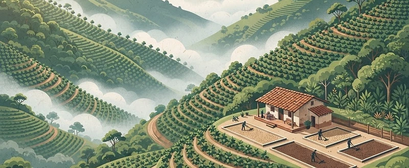 Finca San Pedro