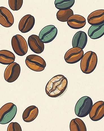 Panama Kotowa Las Brujas Gesha Natural - Cafe Only