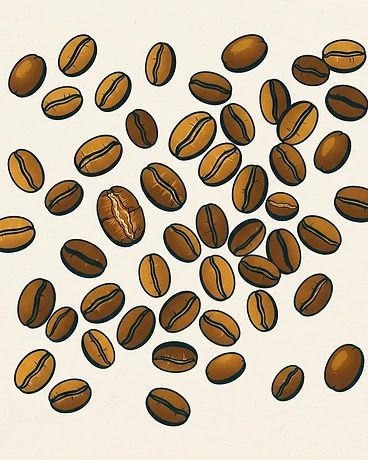 Brazilian Jazblu Peaberry
