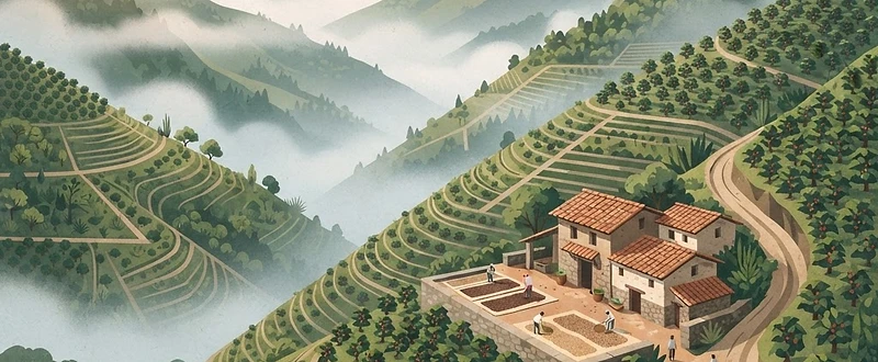La Conquista