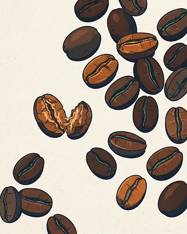 Honduras Caballeros Geisha Washed