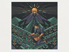Asociación de Caficultores y Agricultores de Sipacapa (ACAS) — coffee farmer illustration 3