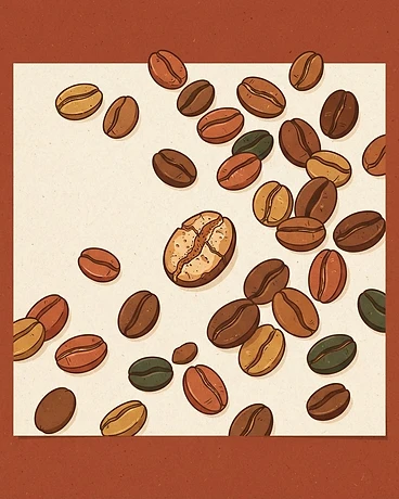 2025 Elora; Lot #25, Honey - Ethiopia