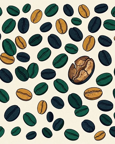Honduras Benjamin Paz La Salsa Gesha Farmlevel Reserve