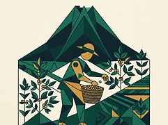 Luis Huayhua — coffee farmer illustration 1