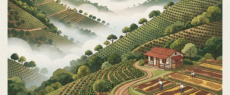 Chevas Coffee Estate