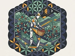 Roger Antonio Domínguez Márquez and Henry Urquia — coffee farmer illustration 1