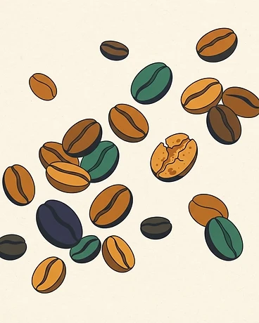 Honduras Caballero Family Geisha