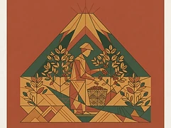 Thiriku Farmer Cooperative Society — coffee farmer illustration 3