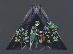 Eugene Altieri — coffee farmer illustration 2
