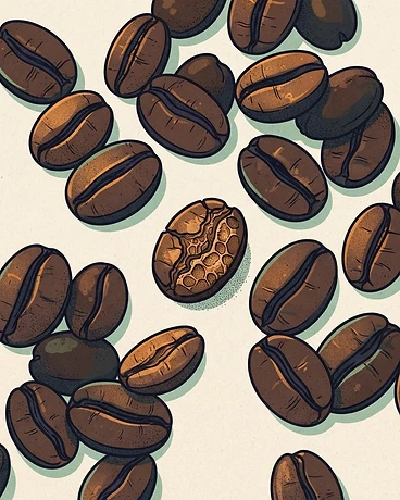 Archive: Honduras La Leona