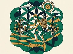 Daniel Caro Lopez — coffee farmer illustration 3