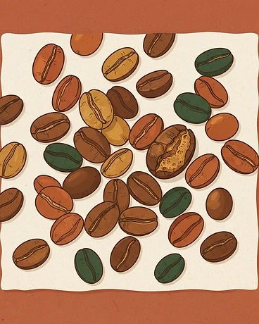 2025 Elora; Lot #151, Fermented Honey - Ethiopia