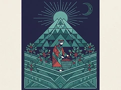 Qima — coffee farmer illustration 2