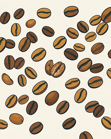 2025 Octavio Rueda; El Mirador, 3rd Harvest - Colombia