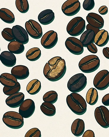 2026 Octavio Rueda; El Mirador, 4th Harvest - Colombia
