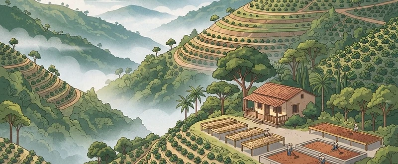 Finca La Bendición