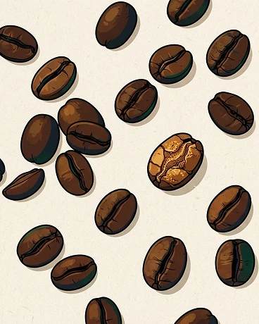 Decaf Colombia El Vergel Co-Ferment