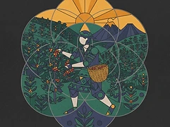 José Gallardo — coffee farmer illustration 1