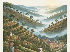 Hulikere Estate โ coffee farm illustration 1