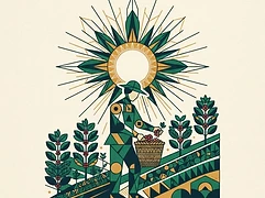 Dr. Enrique Ferrufino — coffee farmer illustration 3