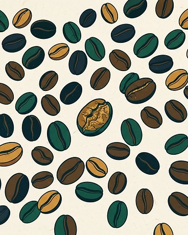 Ecuador La Papaya Oak Barrel Anaerobic - Cafes Only