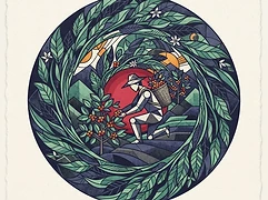 Roger Antonio Domínguez Márquez — coffee farmer illustration 3
