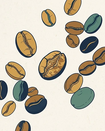 Mystery Coffee Bundle