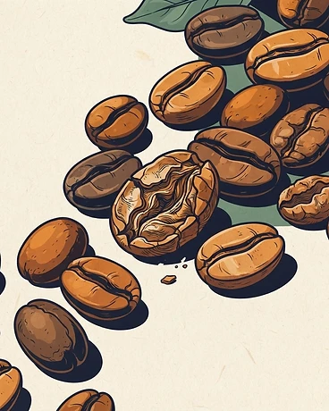 Nicaragua Los Delirios Pacamara