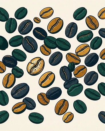 Archive: Colombia Nursery Project Chiroso
