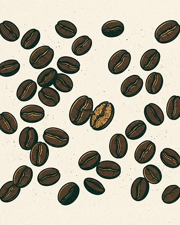 2025 José Jijón; Finca San Pedro, 4th Harvest - Ecuador