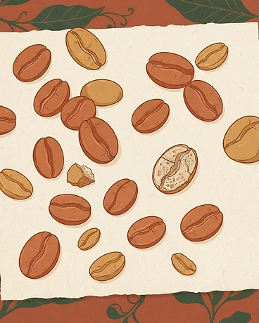 Decaf Ethiopia Suke Quto