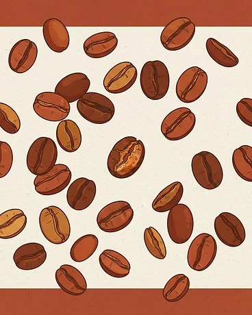 2025 Koko; Lot #159, Washed - Ethiopia