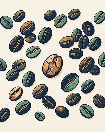 Finca Pashapa – Dark Roast