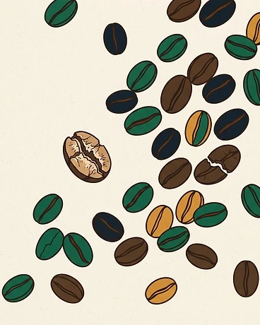 Brazil Fazenda Sertão