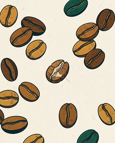 2025 Pepe Jijón; Finca Soledad, TyOxy, 2nd Harvest - Ecuador