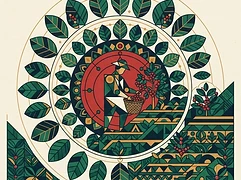Julio Arotaype — coffee farmer illustration 3